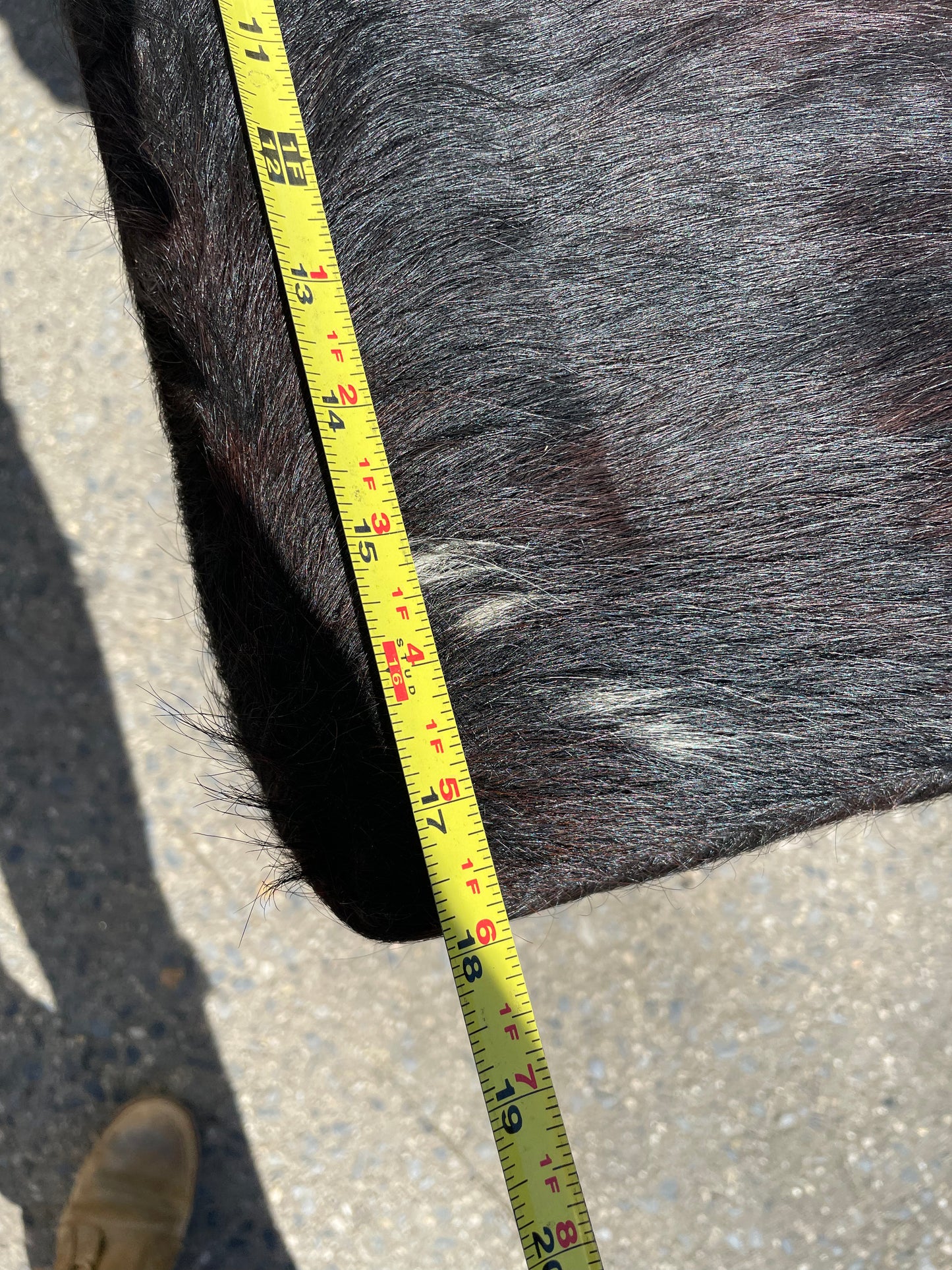 Pair of Steel and Pony Skin Counter Height Stools