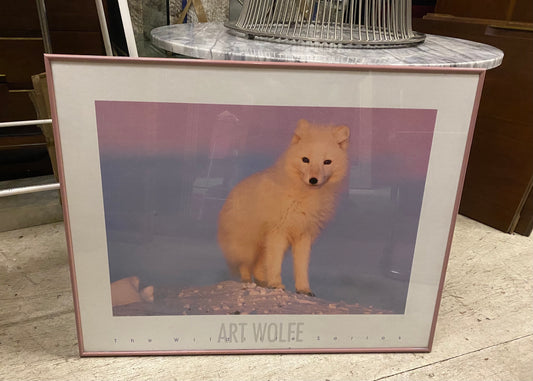 Art Wolfe Pink Framed Photograph