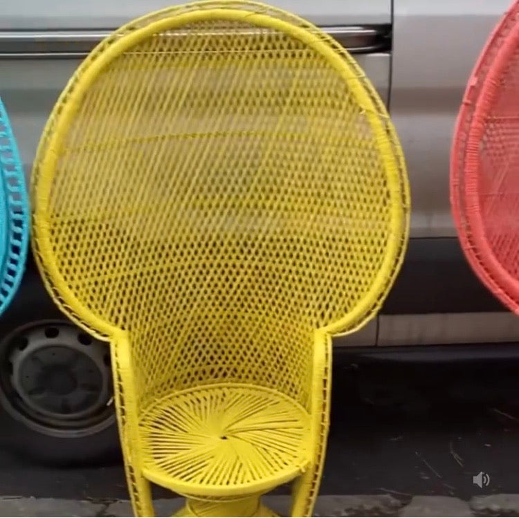 Color Blocking Peacock Chairs