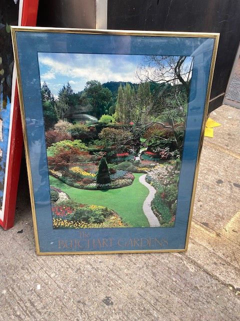 Gold Framed Print of Butchart  Gardens 19x25” tall