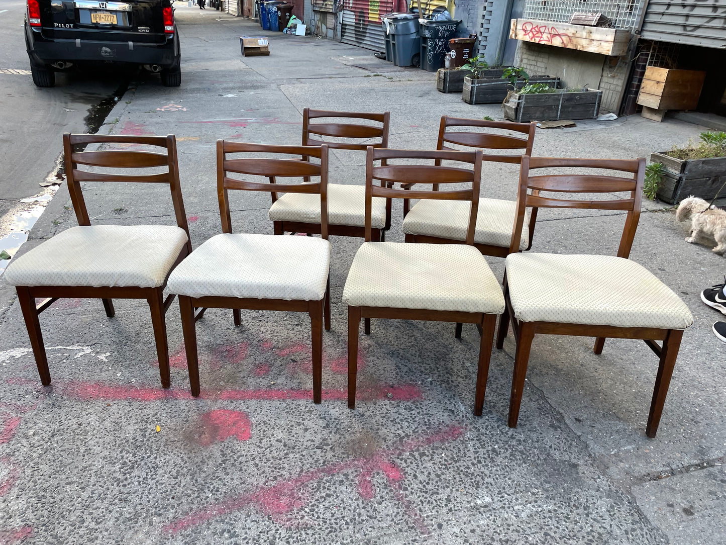 Rectangle Mid Century Modern Dining Table and Cat Eye Mid-Century Modern Dining Chairs (6 Chairs Available Table and Chairs Sold Separately)