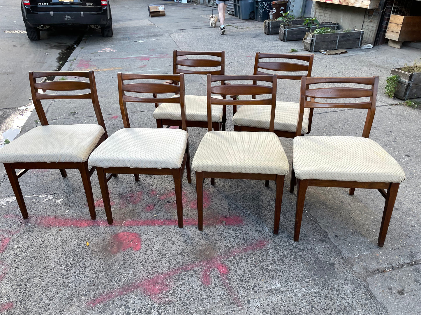 Rectangle Mid Century Modern Dining Table and Cat Eye Mid-Century Modern Dining Chairs (6 Chairs Available Table and Chairs Sold Separately)