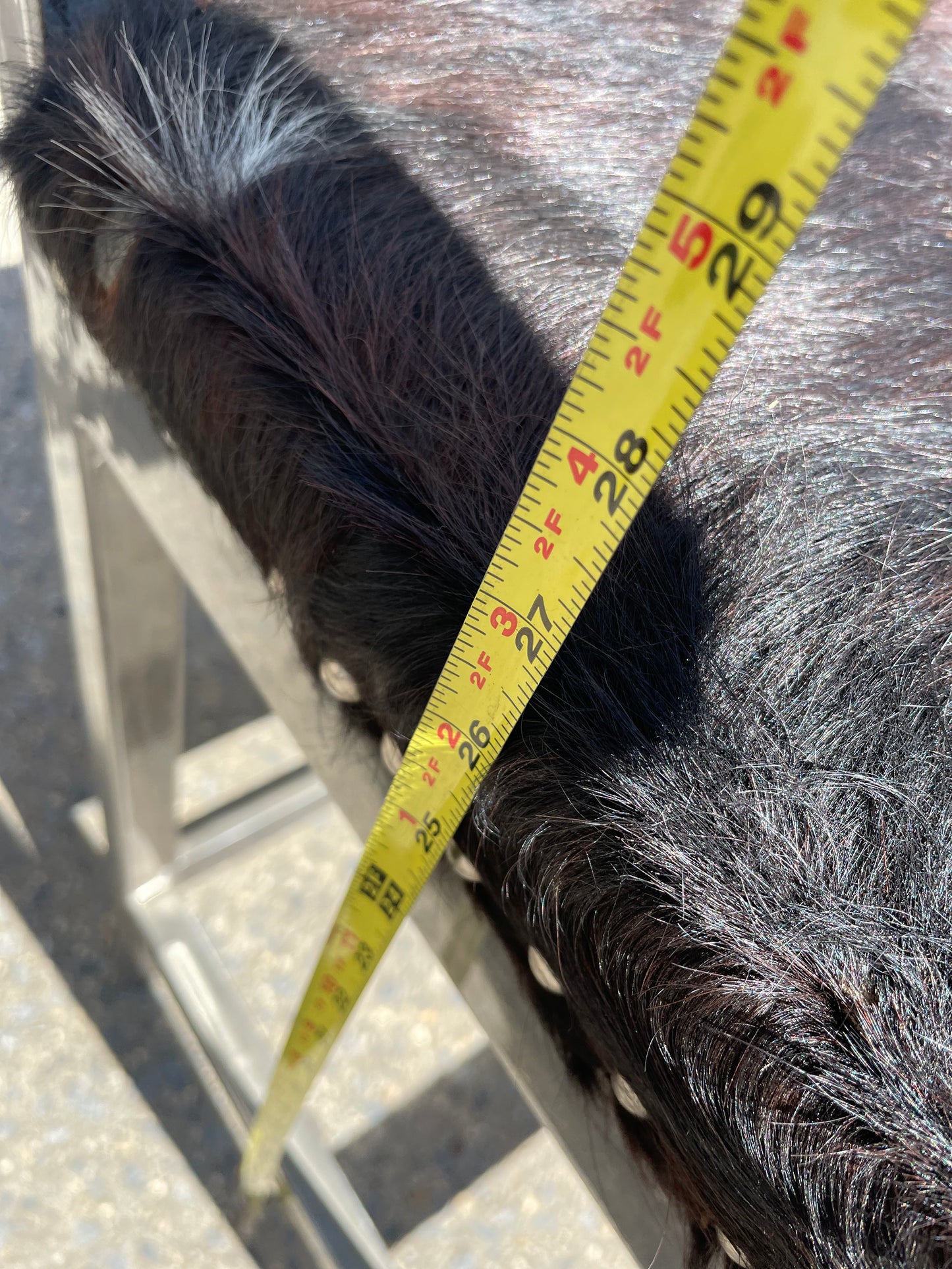 Pair of Steel and Pony Skin Counter Height Stools